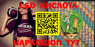 прущие грибы Заволжье