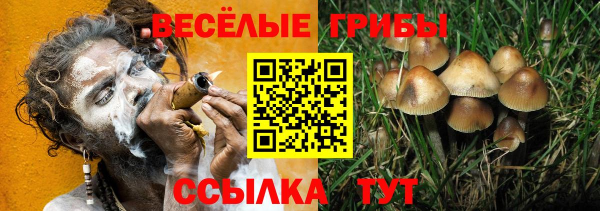 наркотики  Псилоцибиновые грибы мухоморы  Вход с VPN  Луховицы 